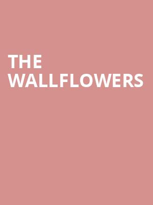 The Wallflowers, The Senate, Columbia