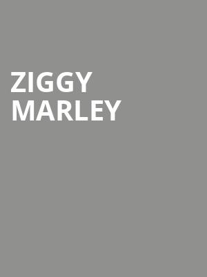 Ziggy Marley Poster