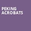 Peking Acrobats, Newberry Opera House, Columbia