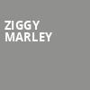Ziggy Marley, Township Auditorium, Columbia