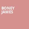 Boney James, Koger Center For The Arts, Columbia